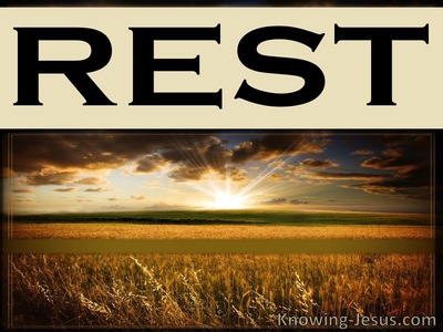 Christ’s Comforting Words